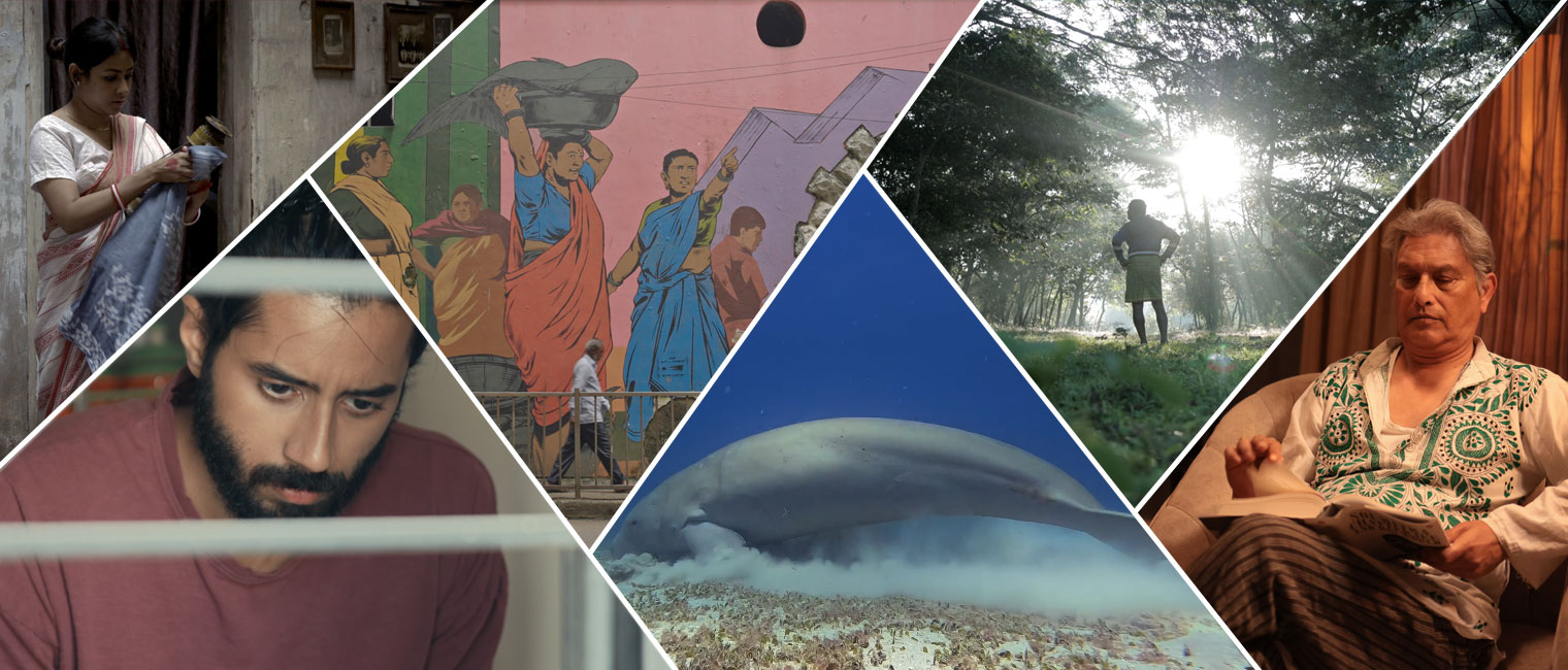 IFFM365 - year round program